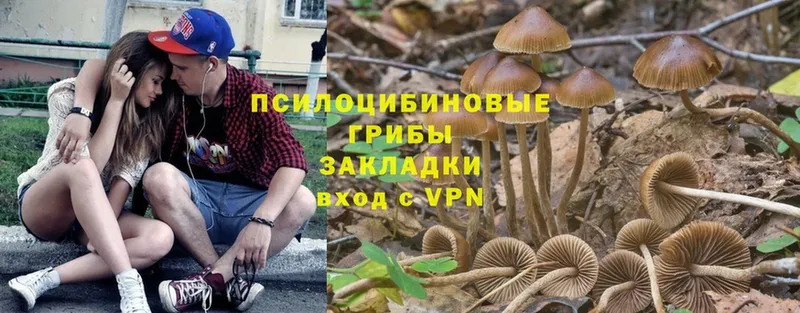 Галлюциногенные грибы Psilocybine cubensis  kraken ONION  Алексеевка 